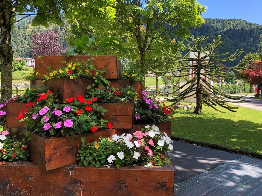 Holiday Guesthouse La Casina Di Butzi Pet Friendly - Terme Di Arta - Zoncolan Arta Terme Exterior photo